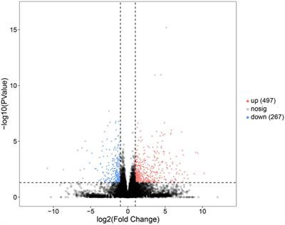 Liver Transcriptomic Analysis of the Effects of Dietary Fish Oil Revealed a Regulated Expression Pattern of Genes in Adult Female Spotted Scat (Scatophagus argus)